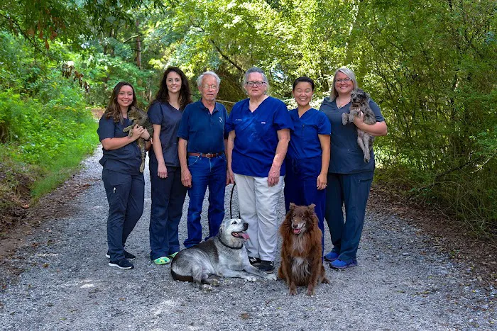 Ila Veterinary Clinic Picture 10