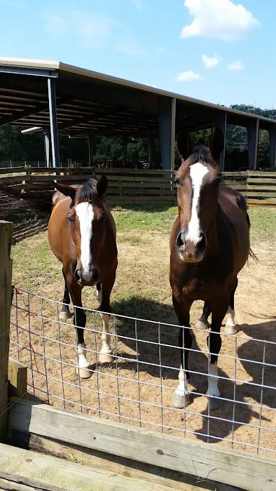 Maggie's Menagerie Veterinary Services Picture 8