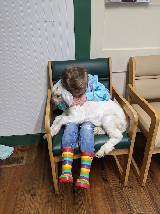 Maggie's Menagerie Veterinary Services Picture 9