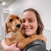 Express Vets North Canton ico
