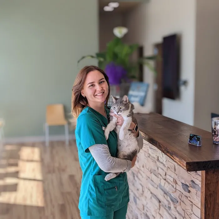 Mountain View Animal Hospital Picture 9