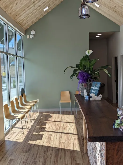 Mountain View Animal Hospital Picture 7