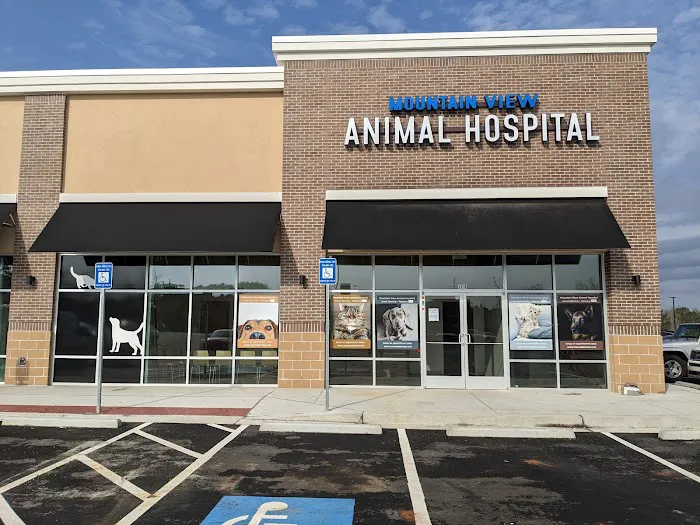 Mountain View Animal Hospital Picture 8