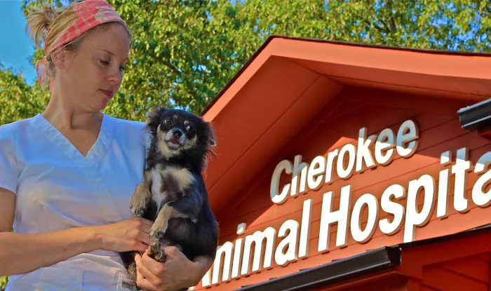 Cherokee Animal Hospital: Dr. Bryant Picture 4