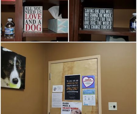 Cherokee Animal Hospital