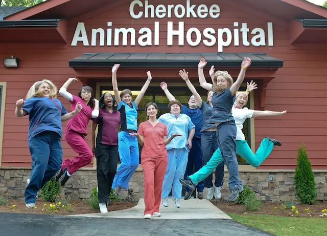 Cherokee Animal Hospital Picture 4