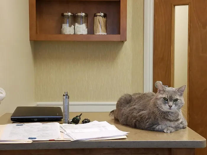 Animal Medical & Surgical Center Picture 1