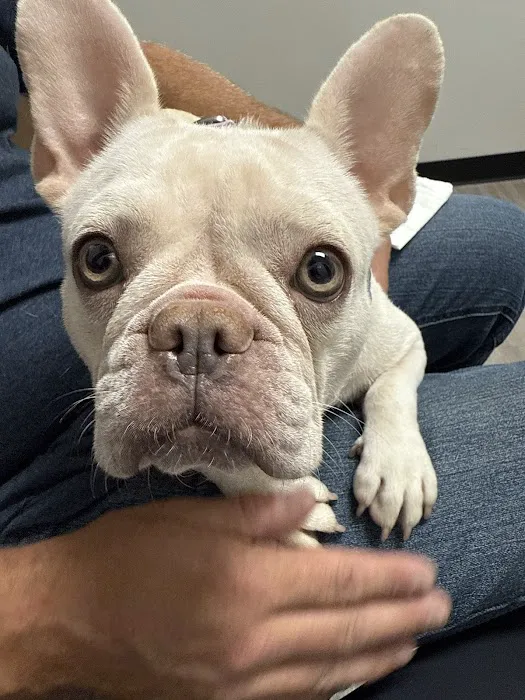 Sixes Animal Hospital Picture 10