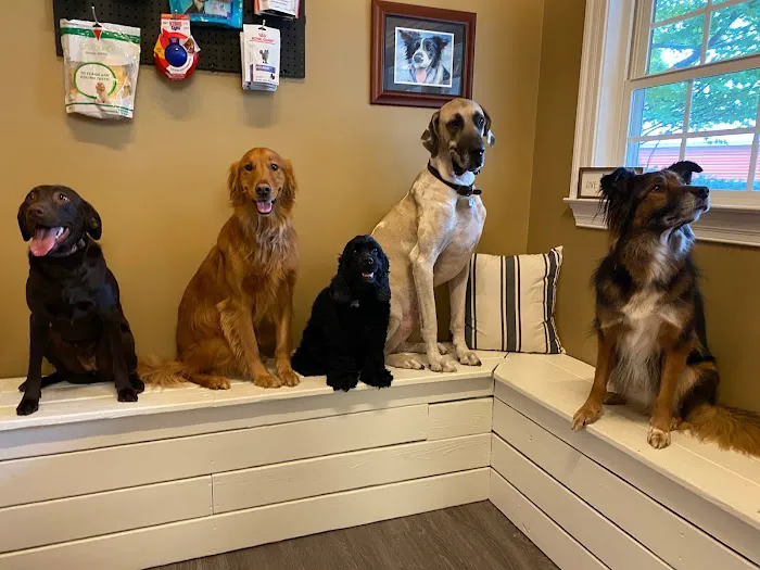 Persimmon Creek Animal Hospital Picture 3