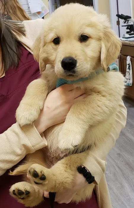 Persimmon Creek Animal Hospital Picture 7