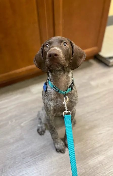 Persimmon Creek Animal Hospital Picture 6