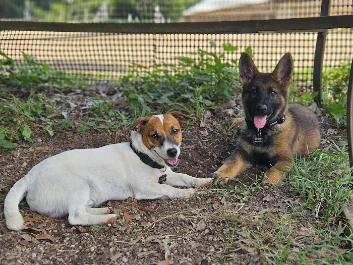 Persimmon Creek Animal Hospital Picture 10