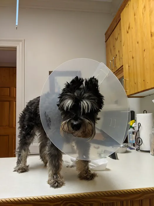 Union Hill Animal Hospital Picture 3