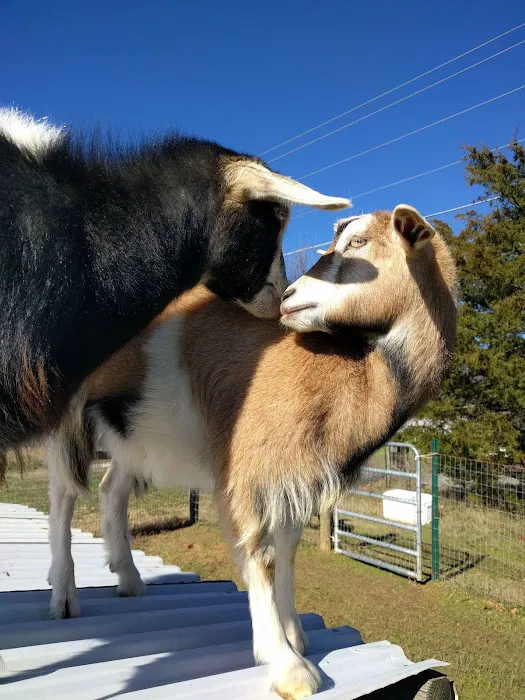 Tri-County Animal Hospital Picture 4