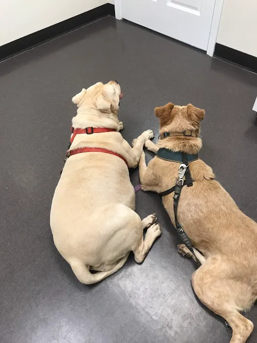 Tri-County Animal Hospital Picture 8