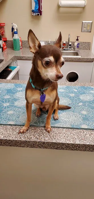 Tri-County Animal Hospital Picture 7