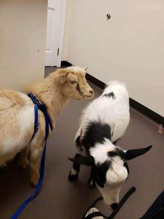 Tri-County Animal Hospital Picture 5
