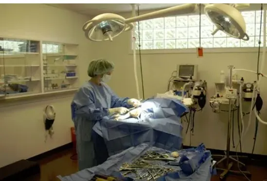 Tri-County Animal Hospital Picture 9