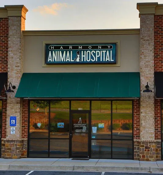 Harmony Animal Hospital Picture 8