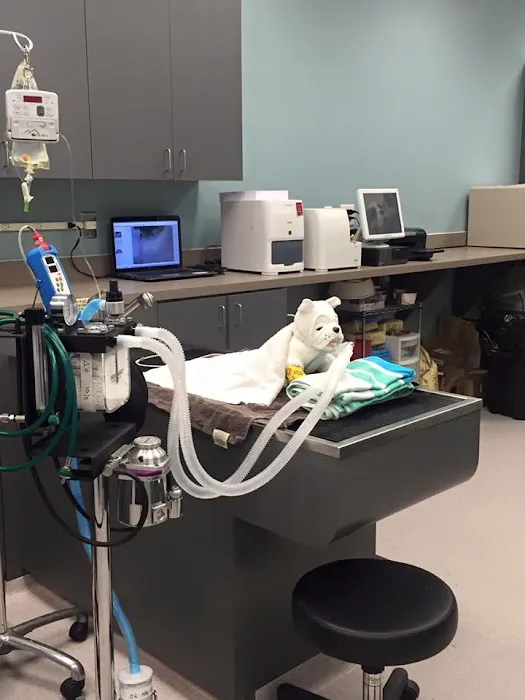 Harmony Animal Hospital Picture 9