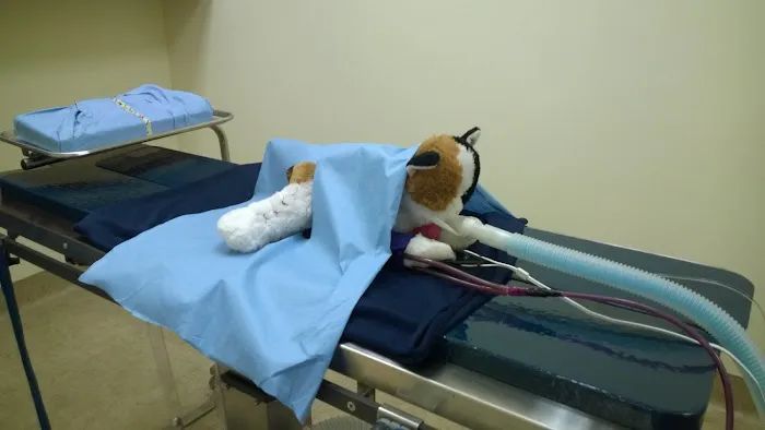 Vickery Animal Hospital Picture 4