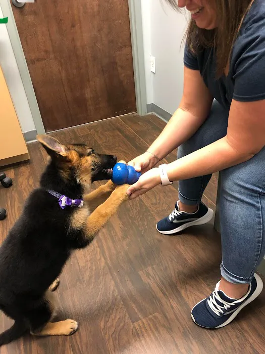 Vickery Animal Hospital Picture 8