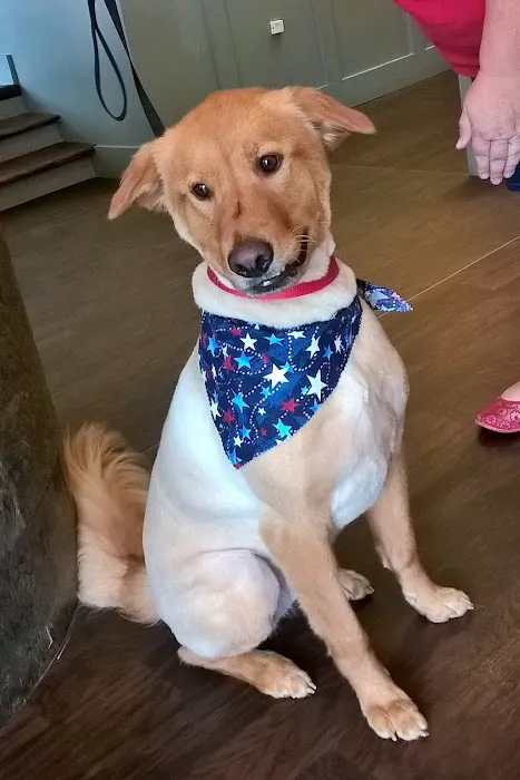 Vickery Animal Hospital Picture 5