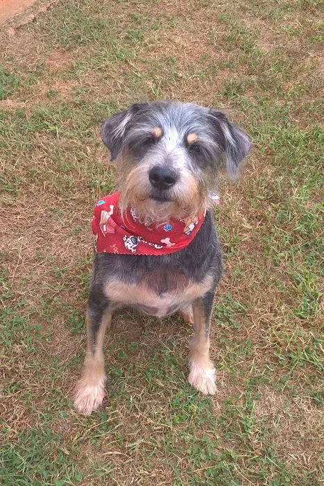 Vickery Animal Hospital Picture 6