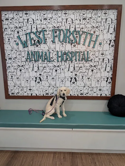 West Forsyth Animal Hospital Picture 7