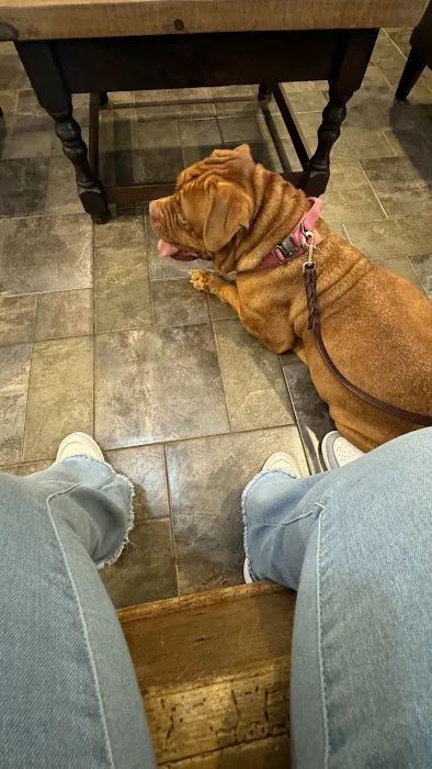 Hamby Road Animal Hospital Picture 2