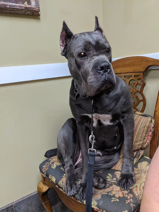 Hamby Road Animal Hospital Picture 1