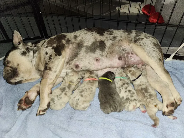 Hamby Road Animal Hospital Picture 10