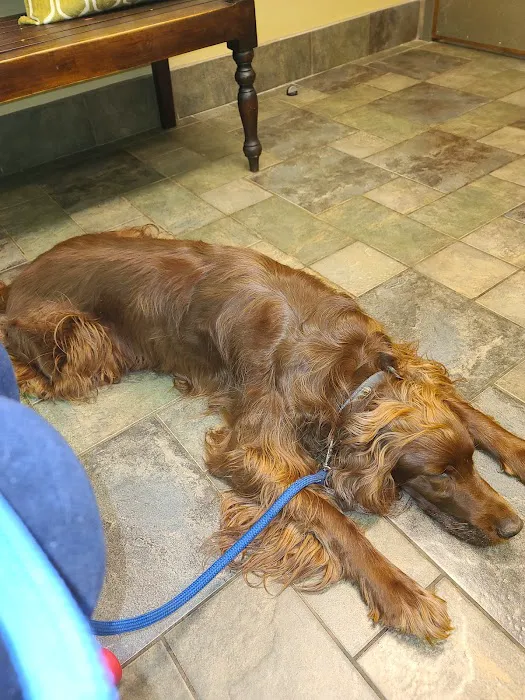 Hamby Road Animal Hospital Picture 9