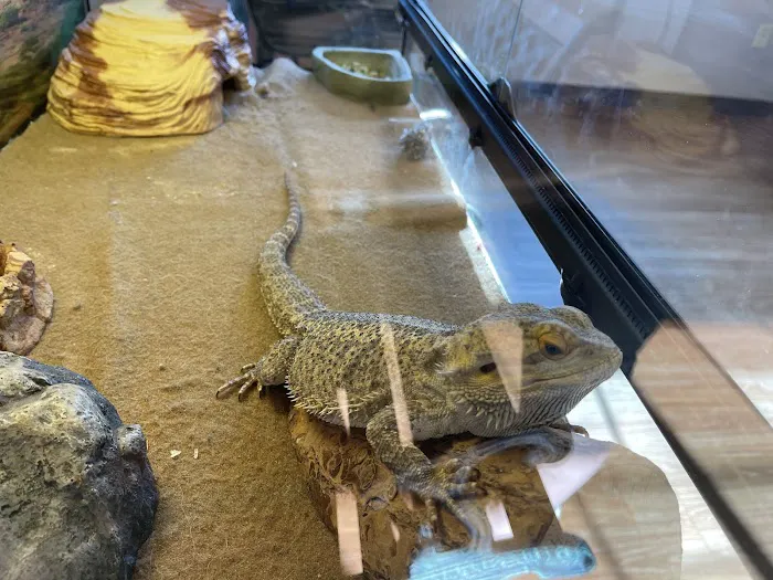 Sawnee Animal Clinic Picture 5
