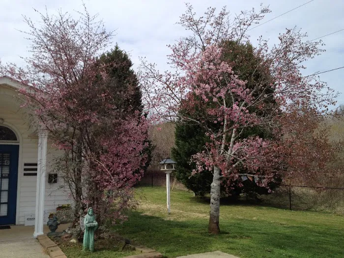 Hickory Flat Animal Hospital Picture 6