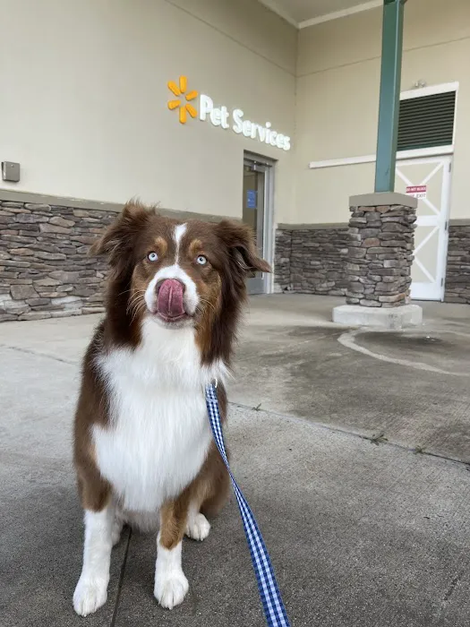 Walmart Pet Services Picture 1