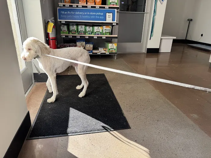 Walmart Pet Services Picture 2
