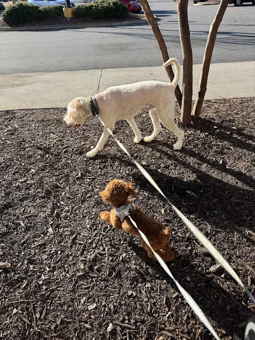 Walmart Pet Services Picture 3