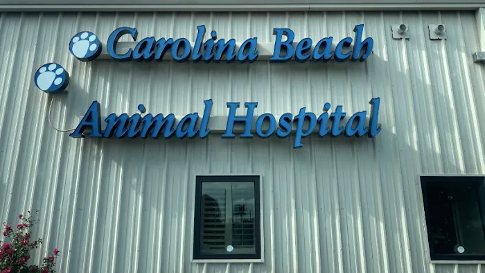 Carolina Beach Animal Hospital Picture 10