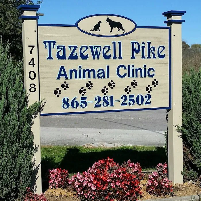 Tazewell Pike Animal Clinic Picture 9