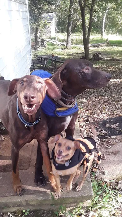 Halls Animal Hospital Picture 6