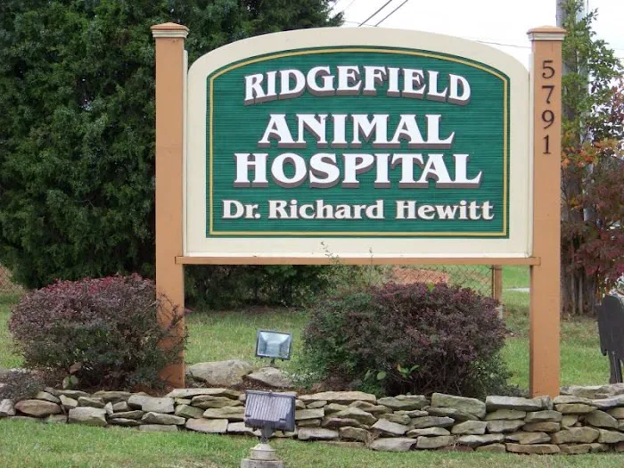 Ridgefield Animal Hospital Picture 10