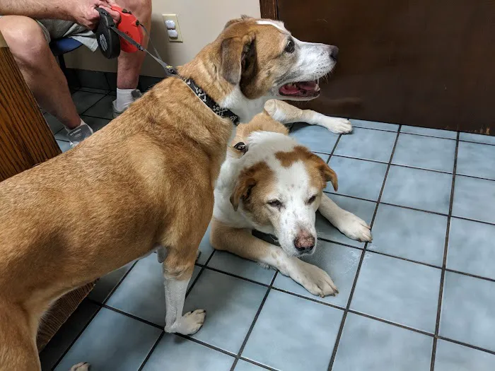 Lakeway Animal Hospital Picture 4