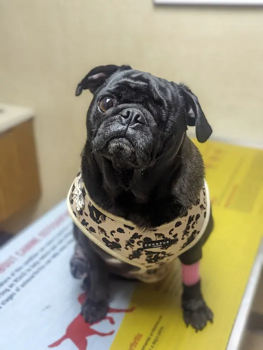 Moyers Veterinary Hospital Picture 3