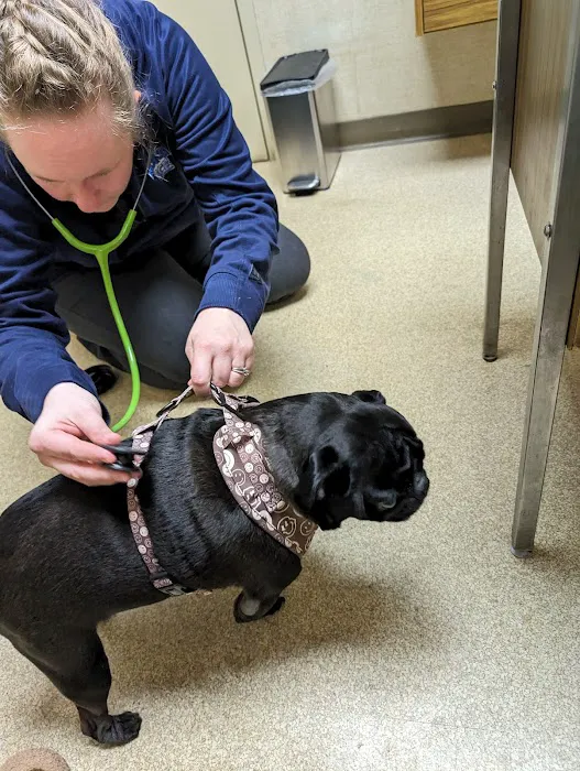 Moyers Veterinary Hospital Picture 5