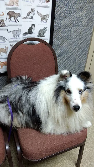 Moyers Veterinary Hospital Picture 7