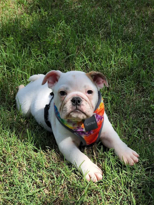 Moyers Veterinary Hospital Picture 10