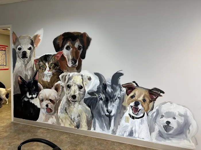 4 Paws Animal Hospital Picture 4