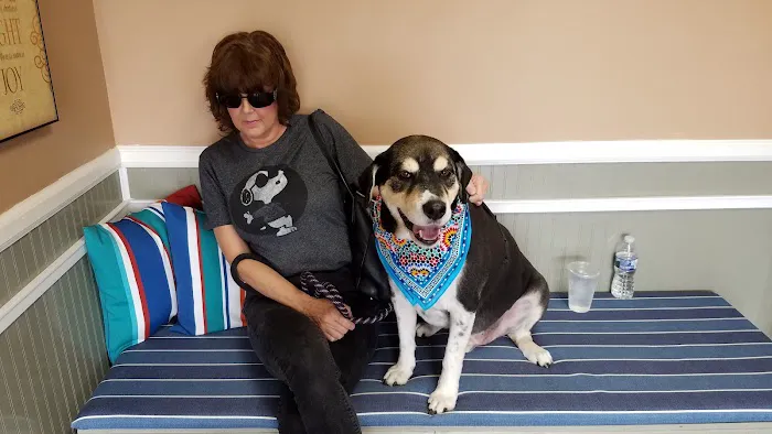 West Main Animal Clinic Picture 1