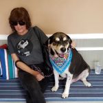 West Main Animal Clinic